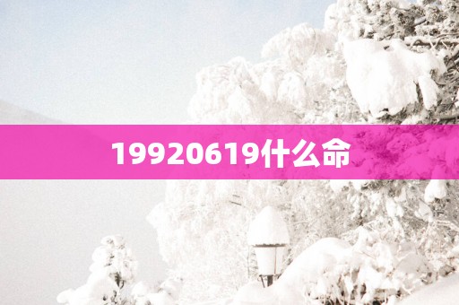 19920619什么命