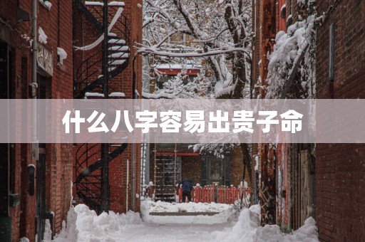 什么八字容易出贵子命