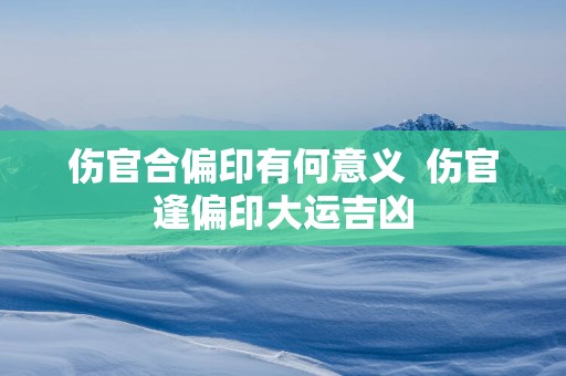 伤官合偏印有何意义  伤官逢偏印大运吉凶