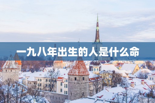 一九八年出生的人是什么命