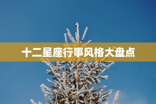 十二星座行事风格大盘点
