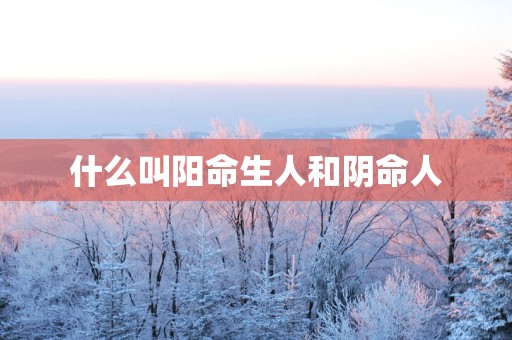 什么叫阳命生人和阴命人