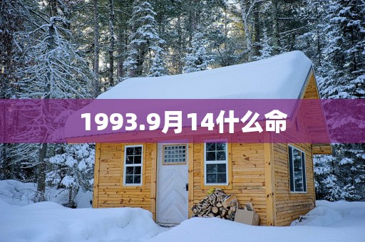1993.9月14什么命