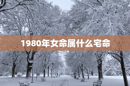 1980年女命属什么宅命