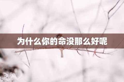 为什么你的命没那么好呢