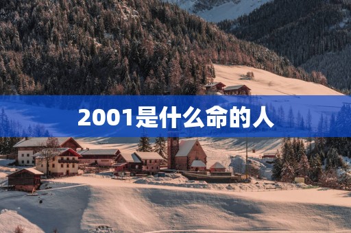 2001是什么命的人