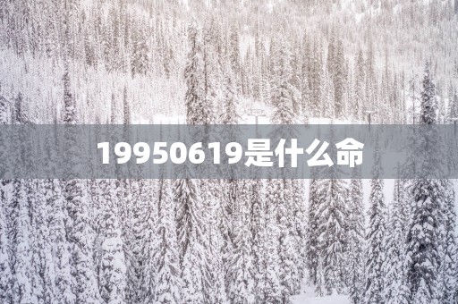19950619是什么命
