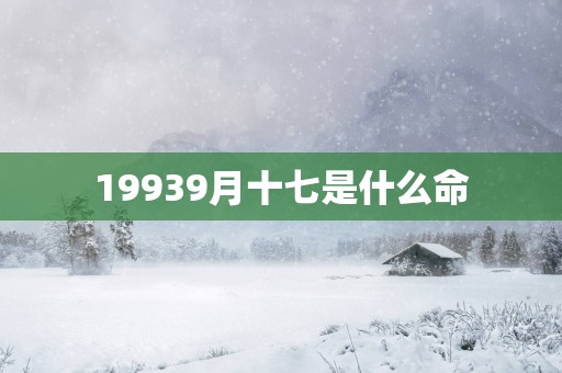 19939月十七是什么命