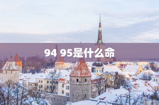 94 95是什么命