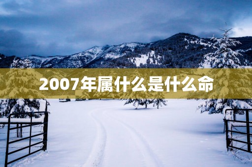 2007年属什么是什么命