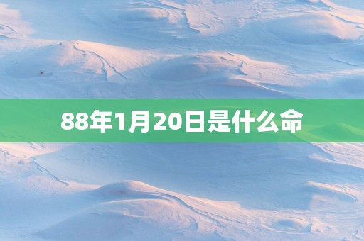 88年1月20日是什么命