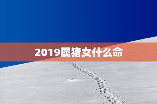 2019属猪女什么命