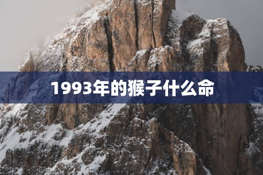 1993年的猴子什么命