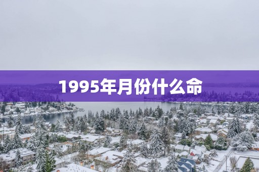 1995年月份什么命