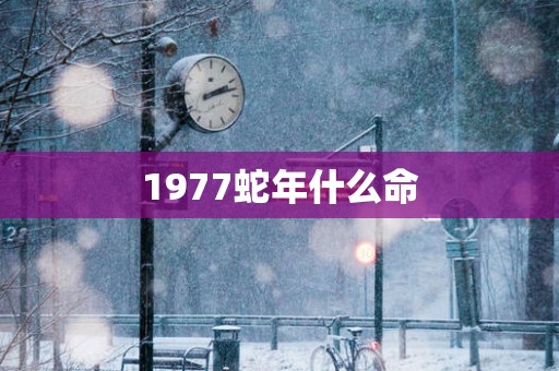 1977蛇年什么命