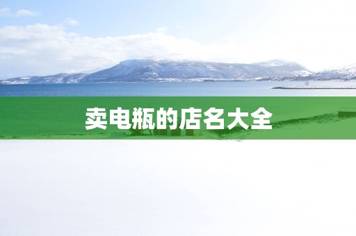 卖电瓶的店名大全