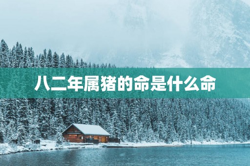 八二年属猪的命是什么命