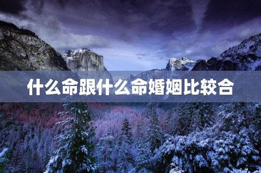 什么命跟什么命婚姻比较合