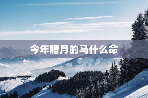 今年腊月的马什么命