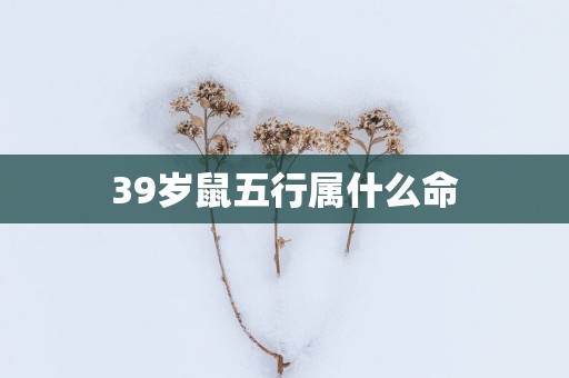 39岁鼠五行属什么命