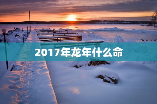 2017年蛇年什么命