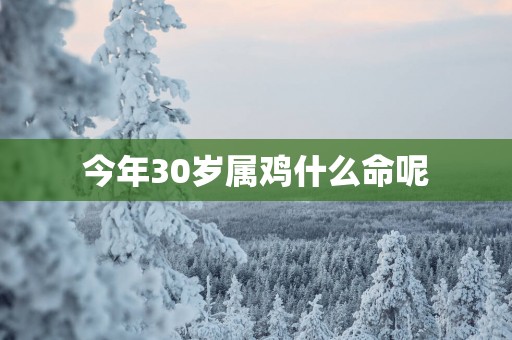 今年30岁属鸡什么命呢