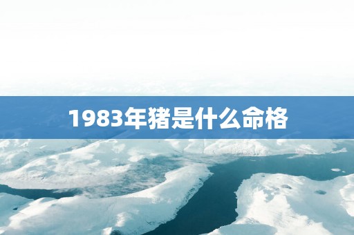 1983年猪是什么命格