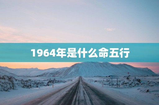 1964年是什么命五行