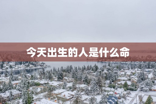 今天出生的人是什么命