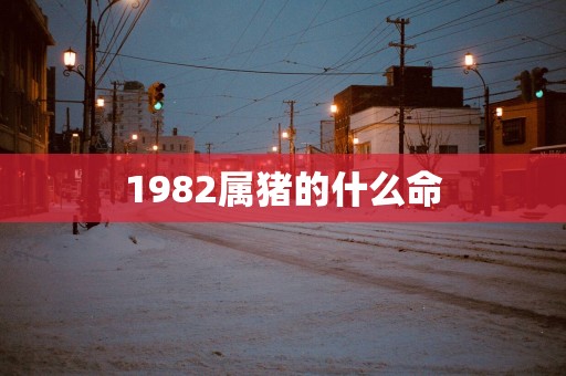 1982属猪的什么命