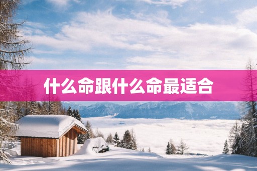 什么命跟什么命最适合