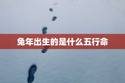 蛇年出生的是什么五行命