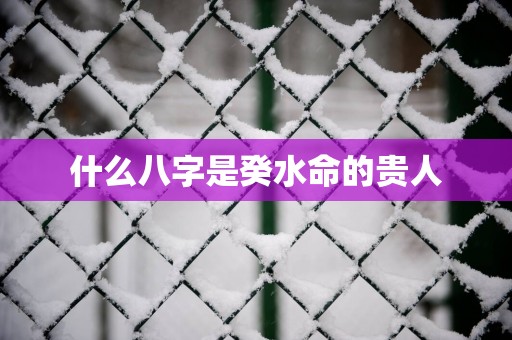 什么八字是癸水命的贵人