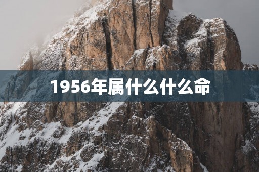 1956年属什么什么命