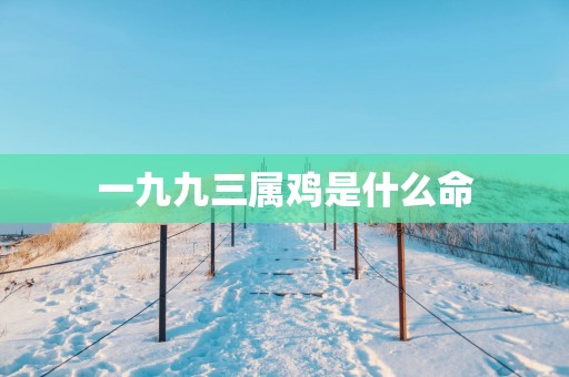 一九九三属鸡是什么命