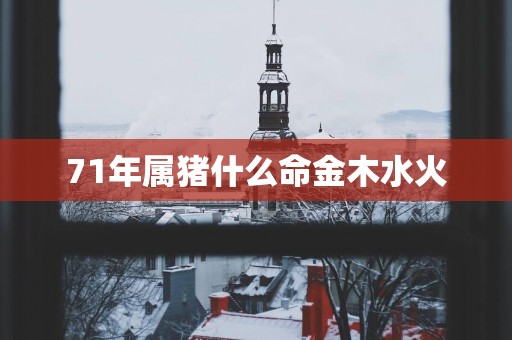 71年属猪什么命金木水火
