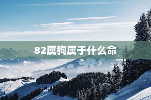 82属狗属于什么命