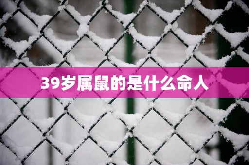 39岁属鼠的是什么命人