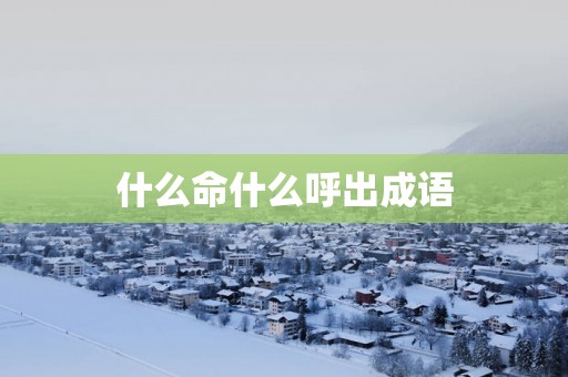 什么命什么呼出成语