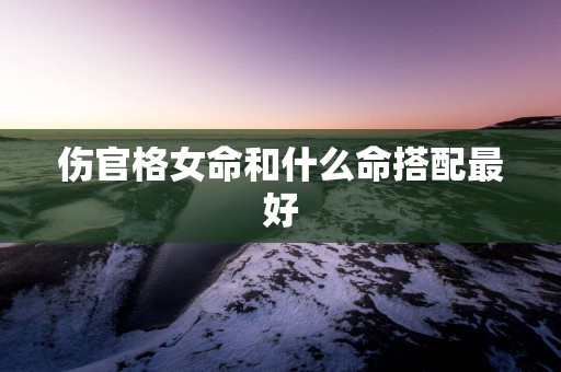 伤官格女命和什么命搭配最好