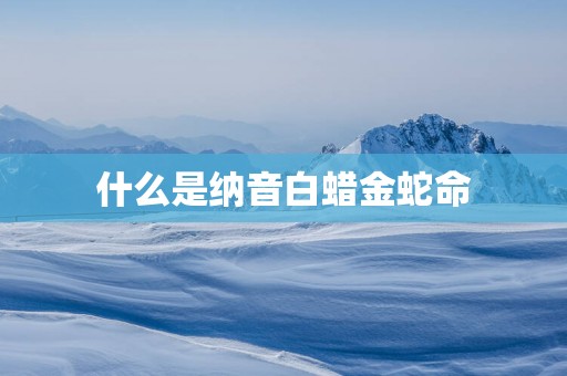 什么是纳音白蜡金蛇命