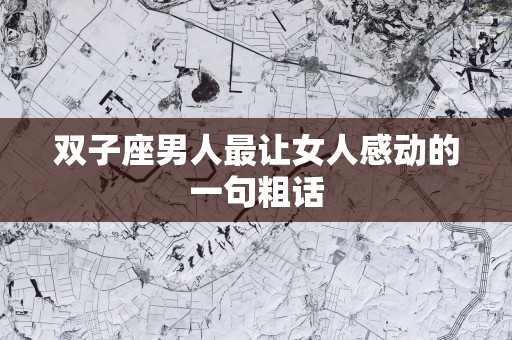 双子座男人最让女人感动的一句粗话