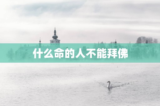 什么命的人不能拜佛