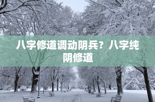 八字修道调动阴兵？八字纯阴修道