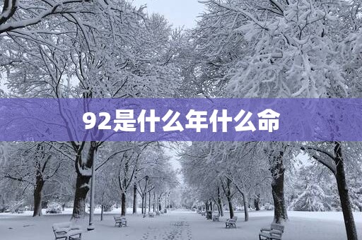 92是什么年什么命