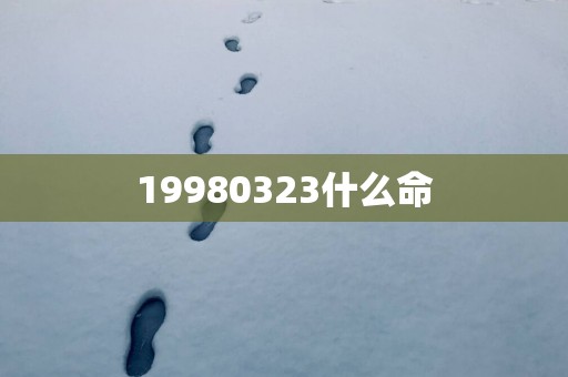 19980323什么命