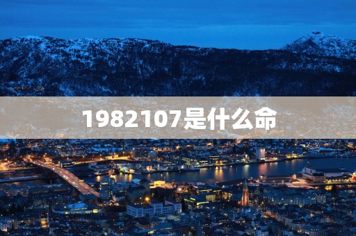 1982107是什么命