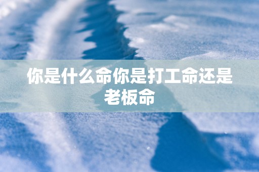 你是什么命你是打工命还是老板命