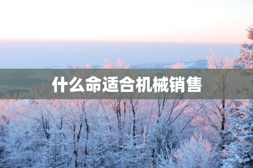 什么命适合机械销售