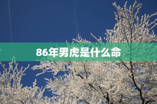 86年男虎是什么命